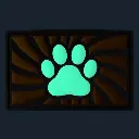 orange-paw-tag-mit-klettverschluss (1).webp
