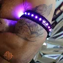 24895_gr_2.webp