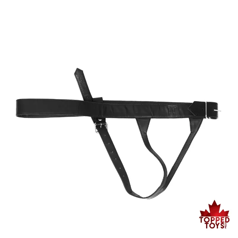 [PH0001] TT Leather Plug Harness (S/M)