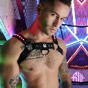 BW Prismaglow Bulldog Harness